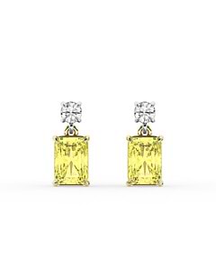 Yellow Emerald-Cut Two Stone Drop Earrings in 14K White and Yellow